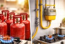 Gas Connection Rules: सरकार ने बदले गैस कनेक्शन के नियम, PNG है तो छोड़ना होगा LPG