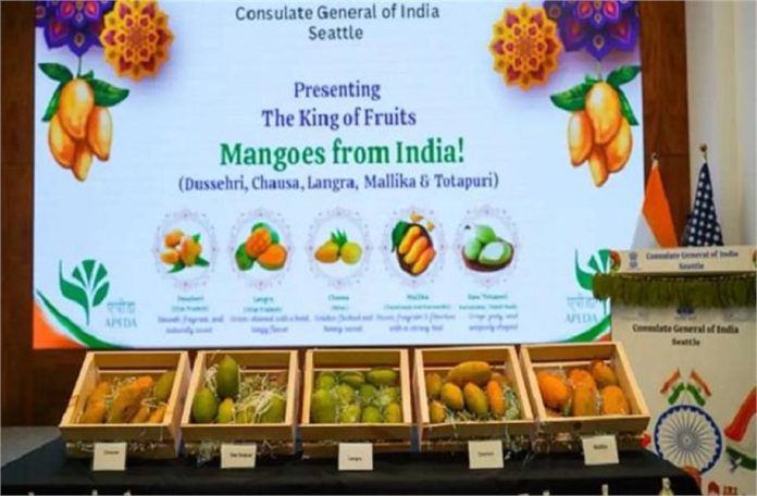 2026_5image_17_37_514108789mango-ll