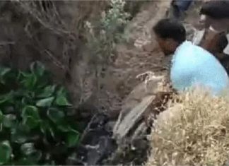 बठिंडा में 2 हफ्ते से लापता युवक की ह/त्या, ड्रेन से मिला गला-सड़ा शव, रौंगटे खड़े कर देगा मामला