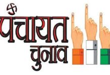 HP Panchayat Election Live : हिमाचल की 1293 पंचायतों में वोटिंग जारी, सुबह 9 बजे तक हुआ 18 प्रतिशत मतदान