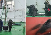 Indian Navy का हैरतअंगेज कारनामा: कोच्चि आ रहे कच्चे तेल के टैंकर से निकाला जिंदा मिसाइल वॉरहेड, टला बड़ा ब्लास्ट