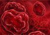 महिलाएं न करें लापरवाही: क्यों बनते हैं Periods में Blood Clots? जानिए कब यह सामान्य है और कब खतरनाक?