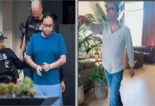 अमेरिका में 100 मिलियन डॉलर की ठगी करने वाला भारतीय मूल का कारोबारी गिरफ्तार, 30 साल की हो सकती सजा