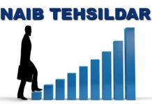 हिमाचल में प्रशासनिक फेरबदल, 20 नव-पदोन्नत कानूनगो बने नायब तहसीलदार; जानिए किसे कहां मिली नियुक्ति?