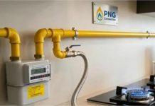 PNG कनेक्शन के लिए सरकार लाएगी राष्ट्रीय केंद्रीकृत पोर्टल, तय समय-सीमा में मिलेगा गैस कनेक्शन