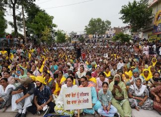 महिलाओं की सत्कार राशि’ आज बैंक खातों में जमा की जाएगी : मुख्यमंत्री भगवंत सिंह मान