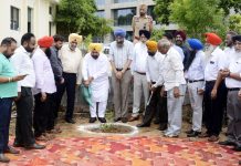 हरचंद सिंह बरसट ने सभी को 5-5 पौधे लगाने और संभालने के लिए किया प्रेरित