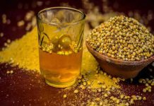 Coriander Water Benefit: धनिया का पानी सेहत के लिए वहदान! सुबह-सुबह खाली पेट पीने के है अनगिनत फायदे