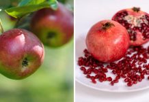 Health Tips: फैटी लिवर के लिए डाइट में शामिल करने लायक 7 बेहतरीन फल