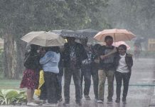 Punjab Weather Update: पंजाब और चंडीगढ़ में मानसून फिर से सक्रिय, कई जिलों में बारिश की संभावना