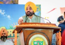 पंजाब सरकार द्वारा 8 लाख कर्मचारियों और पेंशनरों को त्योहारी सीजन का तोहफा; मान सरकार ने महंगाई भत्ता बढ़ाकर 50% किया