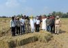 गुरमीत सिंह खुड्डियां ने गुरदासपुर के खेतों में पराली की गांठें बनाकर पंजाब के किसानों से पराली न जलाने की अपील की