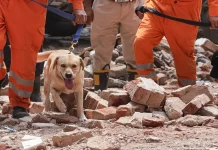 Delhi Building Collapse: सत्य निकेतन PG के मालिकों ने स्ट्रक्चरल लोड की सीमा की जानकारी होने के बावजूद कमाई के लिए ऊपरी मंज़िलें बनवाईं, FIR दर्ज