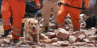 Delhi Building Collapse: सत्य निकेतन PG के मालिकों ने स्ट्रक्चरल लोड की सीमा की जानकारी होने के बावजूद कमाई के लिए ऊपरी मंज़िलें बनवाईं, FIR दर्ज