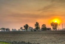 पंजाब और चंडीगढ़ में आज मौसम शुष्क; राज्य में फिलहाल बारिश होने की कोई संभावना नहीं