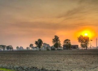 पंजाब और चंडीगढ़ में सुबह की ठंड बढ़ी; राज्य में बारिश की संभावना, तापमान में गिरावट