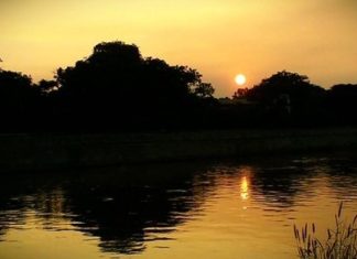 Weather Update: पंजाब और चंडीगढ़ में दिन गर्म और रातें रहेंगी ठंडी; इस हफ़्ते बारिश की कोई संभावना नहीं