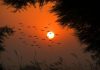 Weather Update: पंजाब और चंडीगढ़ में आज मौसम शुष्क; अगले 5 दिनों तक बारिश की कोई संभावना नहीं